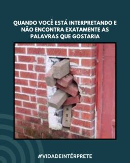 Aquele microssegundo em que o termo exato desaparece do mapa, a velocidade do palestrante não dá trégua e o seu cérebro aciona o modo sobrevivência: reorganiza a frase, puxa uma paráfrase, encaixa um sinônimo e entrega a mensagem impecável para o ouvinte!

Por fora, a entrega continua fluida e elegante. Por dentro... é exatamente essa engenharia de tijolos! 😅

#VidaDeIntérprete #InterpreterMEME
